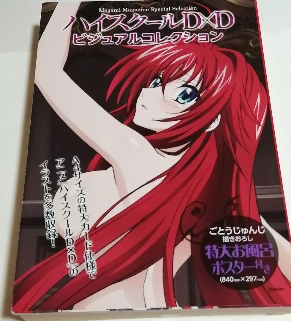 Amazon.co.jp: ハイスクールD×D NEW ビジュアルコレクション