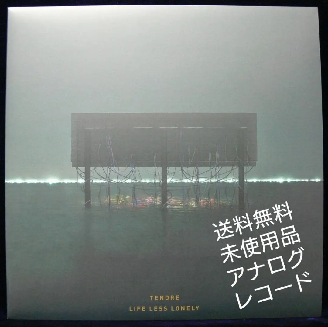 RSD2021 Ryohu DEBUT LP レコード 爆売り！ Rsd2021 Ryohu Debut Lp Record | eBay - 邦楽 - 邦楽