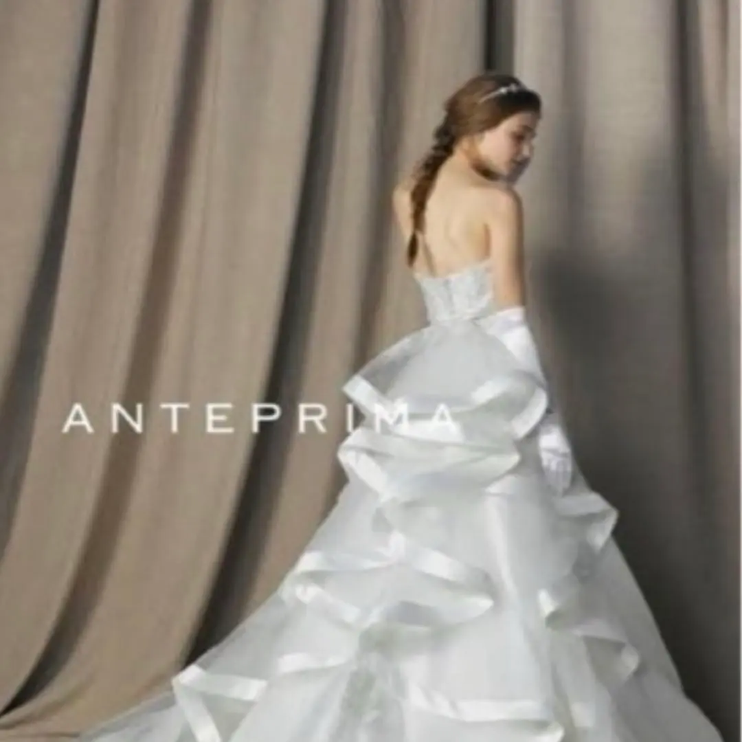 【美品】アンテプリマ　ウェディングドレス＋ベール＋インナー上下 2025年最新】ANTEPRIMA ウェディングドレスの人気アイテム