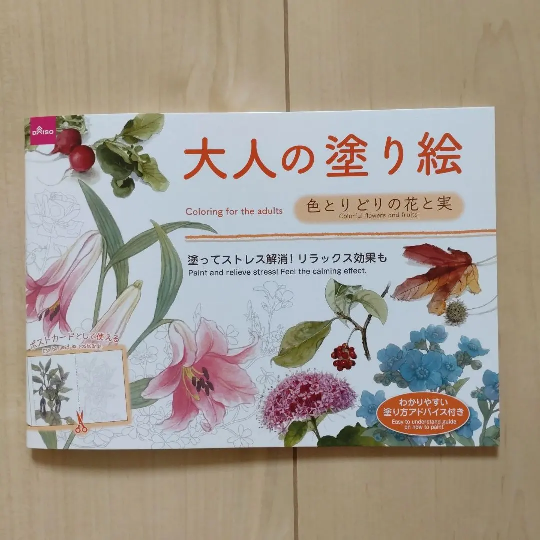 大人的著色本 大人塗色 五彩繽紛的花與果 的縮圖