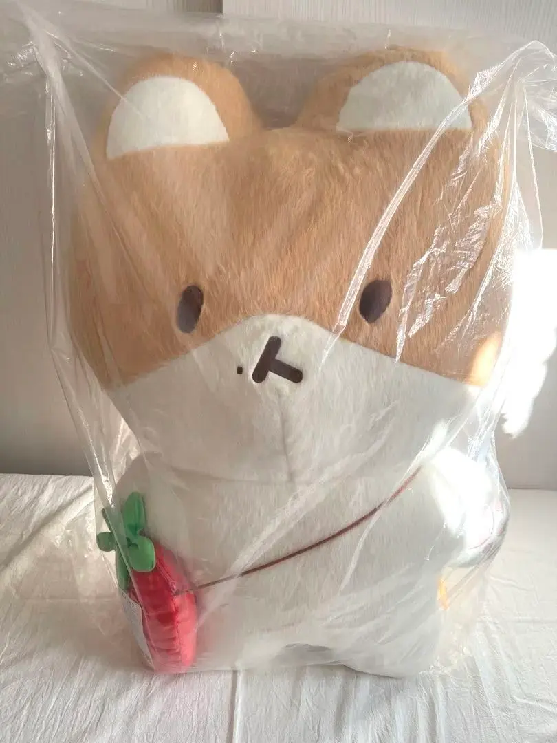 2025年最新】EXO ブランケットの人気アイテム - メルカリ