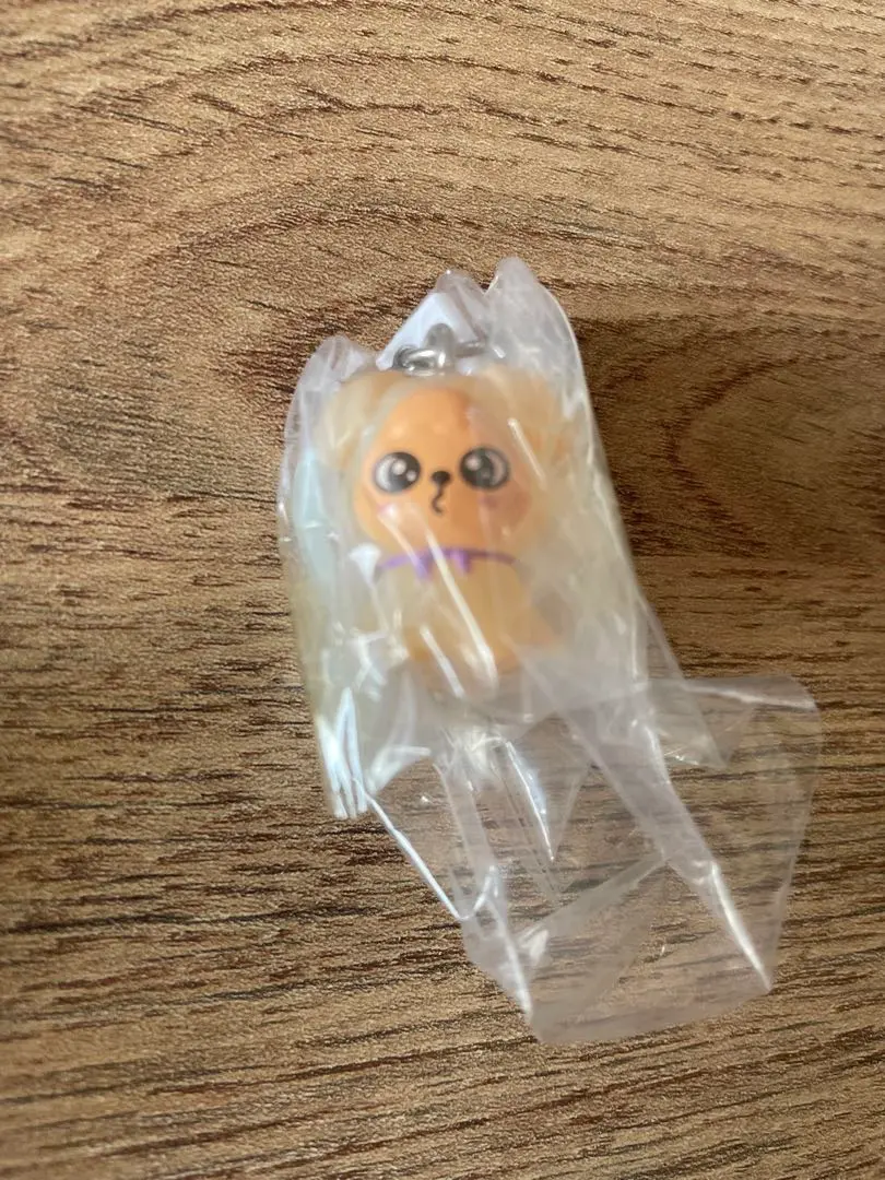 Thumbnail of SKZOO Mejirushi Accessory - Seungmin - PuppyM