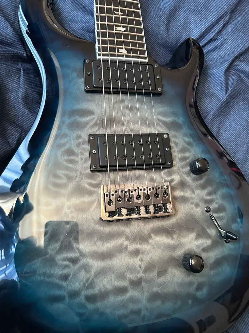 Paul Reed Smith SE Custom 24 7-String｜Croquetteギター機材研究