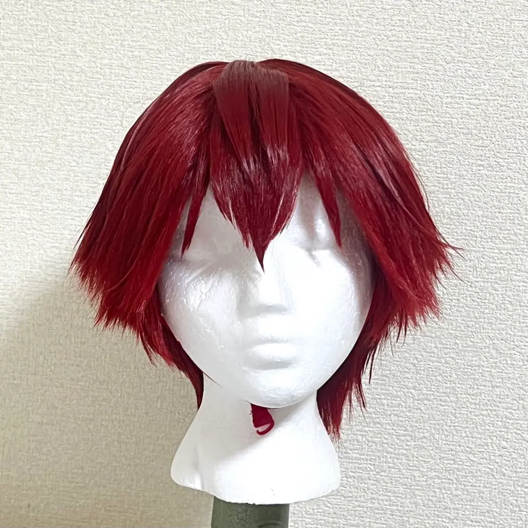 千早瞬平 風 セット済みコスプレウィッグ 忘却バッテリー 忘バ 千早瞬平 風 セット済みコスプレウィッグ 忘却バッテリー 忘バ