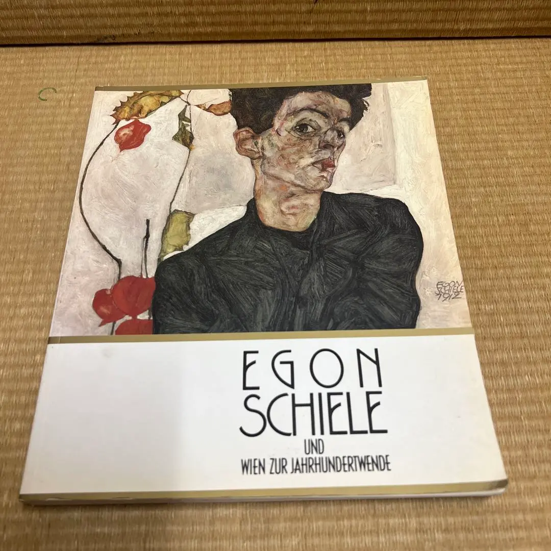Amazon.co.jp: エゴンシーレ 図録 画集 エゴン シーレ : おもちゃ