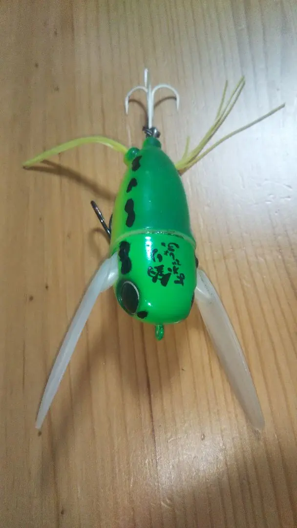 2025年最新】ニチニチフロイジーの人気アイテム - メルカリ