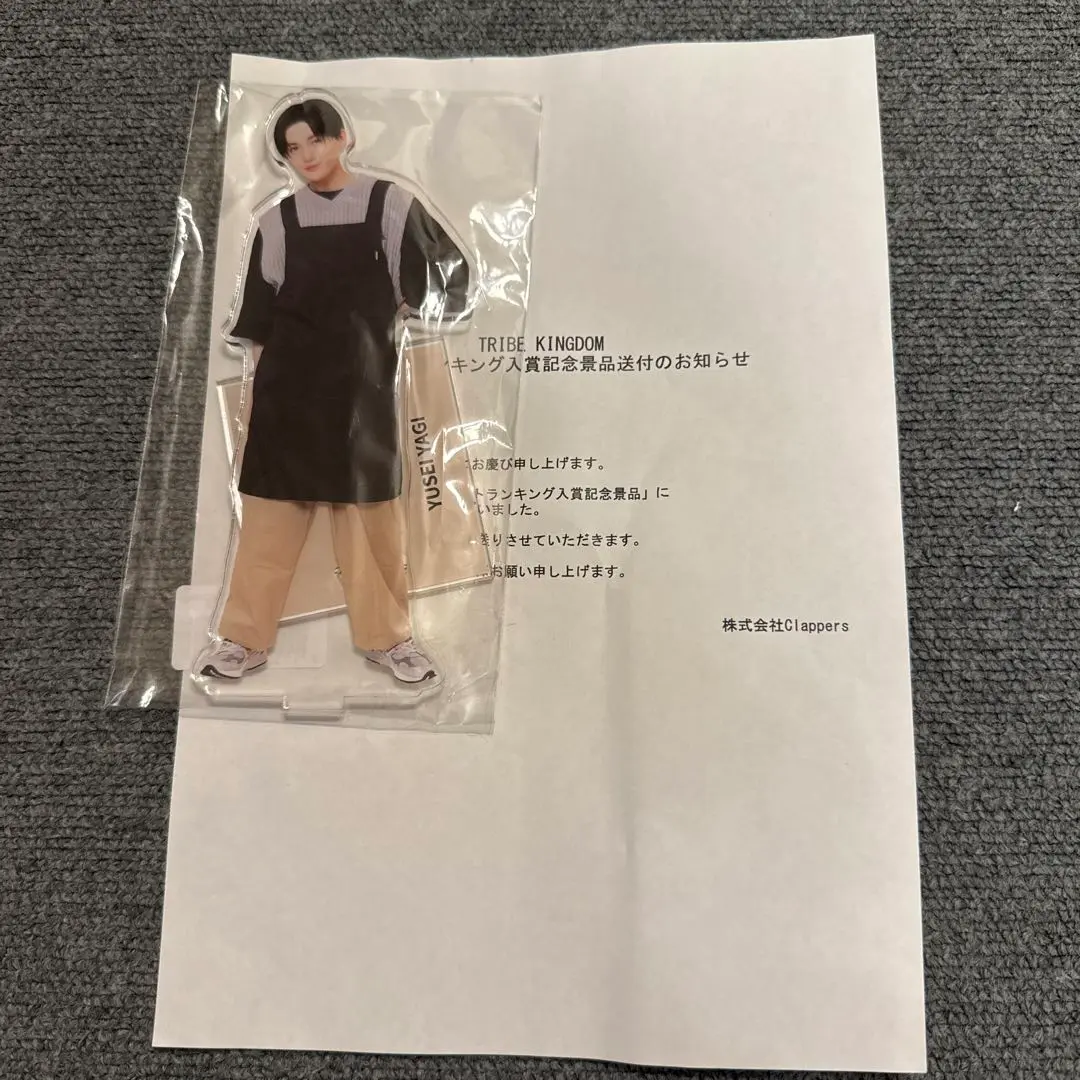 八木勇征 TRIBE KINGDOM トラキン BIGアクリルスタンド 私服 2025年最新】八木勇征 アクリルスタンド 私服の人気アイテム