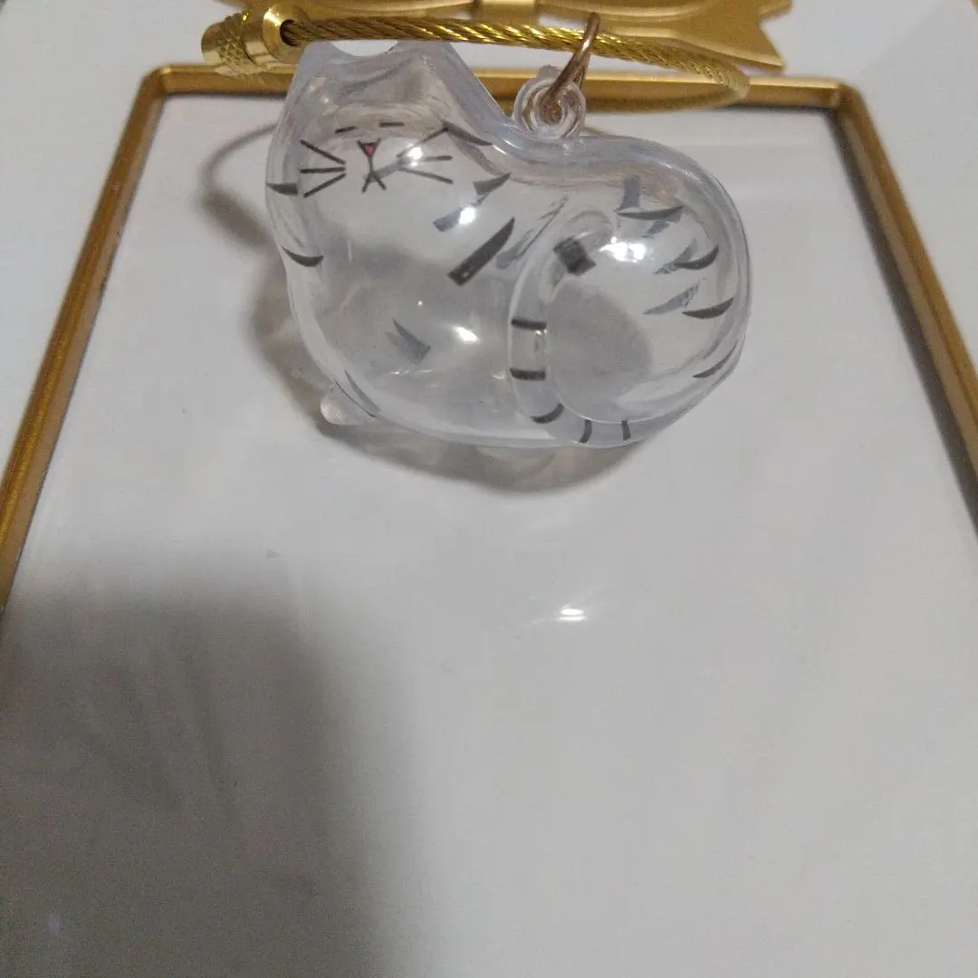 Thumbnail of Storage Case for Your Beloved Cat's Fur