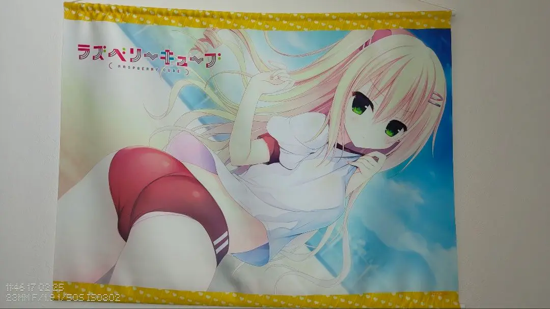 非売品】ラズベリーキューブ まどそふと はすね 宇都宮つみれ B2