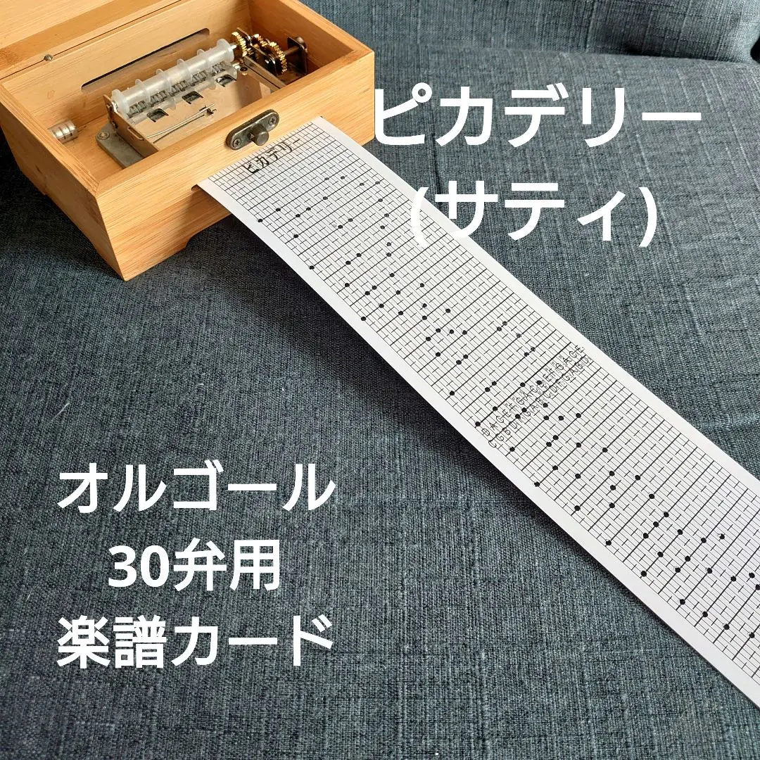 2025年最新】オルガニート30弁の人気アイテム - メルカリ