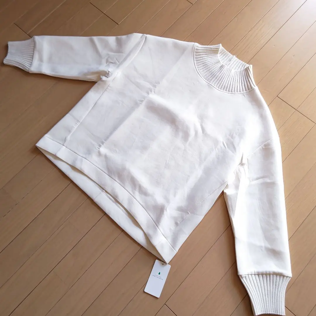 2025年最新】GreenLABELrelaxing ダンボールリブタートルプル
