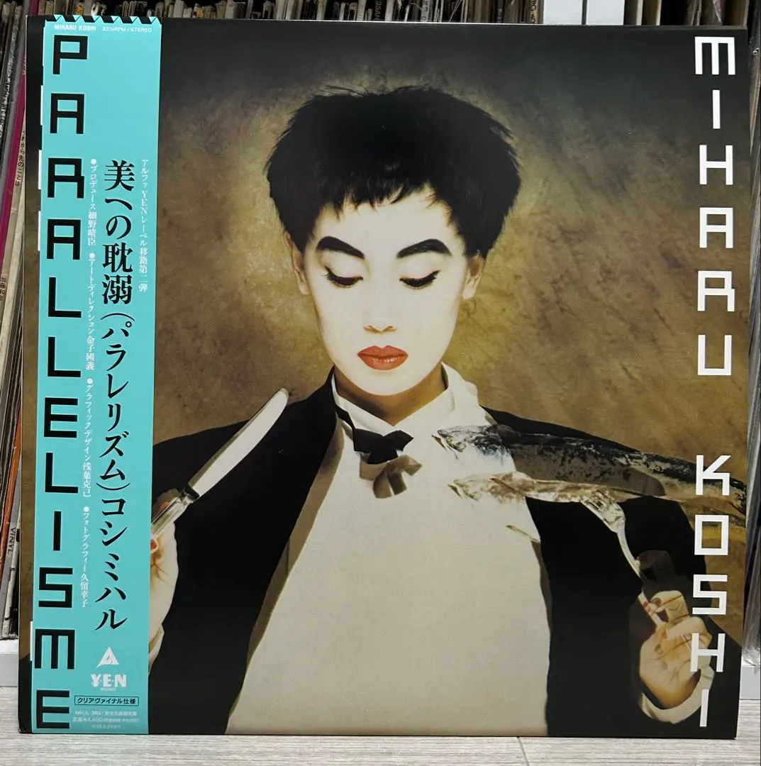 更に値下げ！アポジー&ペリジー レコード　細野晴臣　戸川純　松本隆　越美晴 2025年最新】越美晴 レコードの人気アイテム - メルカリ