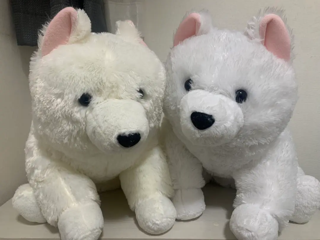くったり サモエドくん ぬいぐるみ マスコット 全３種 12個 ≪9月の新商品≫くったりサモエドくん-NEW ITEM！｜アミューズ