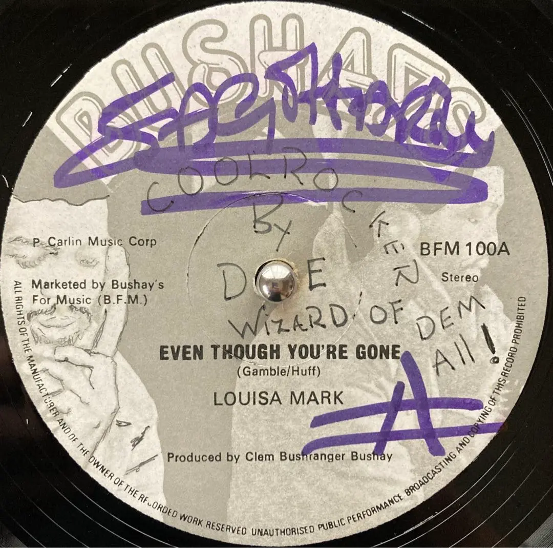 激レア★Jennifer Gray/Louisa Mark レコード 12\