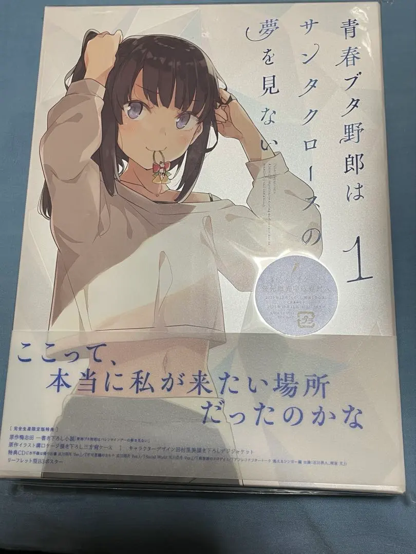 青春豬頭少年不會夢到聖誕老人 1卷 DVD 特典小說 的縮圖