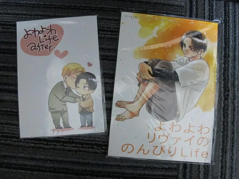 女性向け一般同人誌（BL含む）　<<進撃の巨人>> 【3点セット】ERULIMIX 【進撃】 エルリ再録本 （エルヴィン×リヴァイ） / Dream Works 女性向け一般同人誌（BL含む） 進撃の巨人 大人と子供の13年
