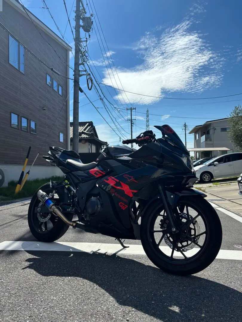 2025年最新】gsx250r フェンダーレスの人気アイテム - メルカリ