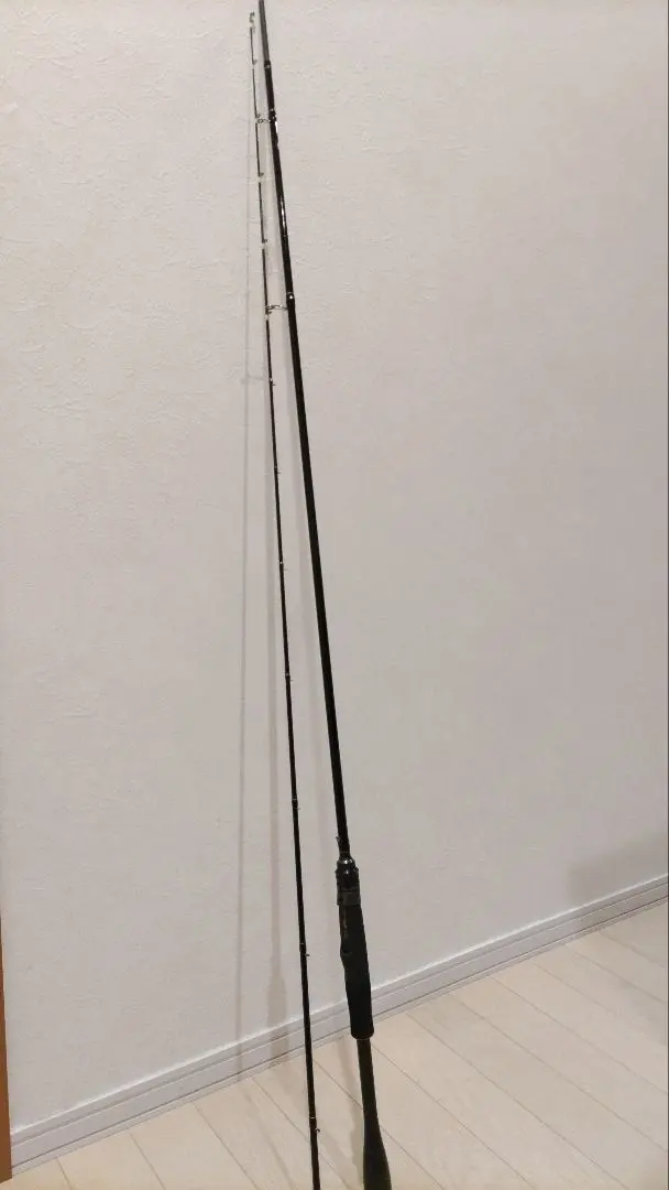 Thumbnail of Bay Area Seabass and Black Porgy Overfishing: Original Rod