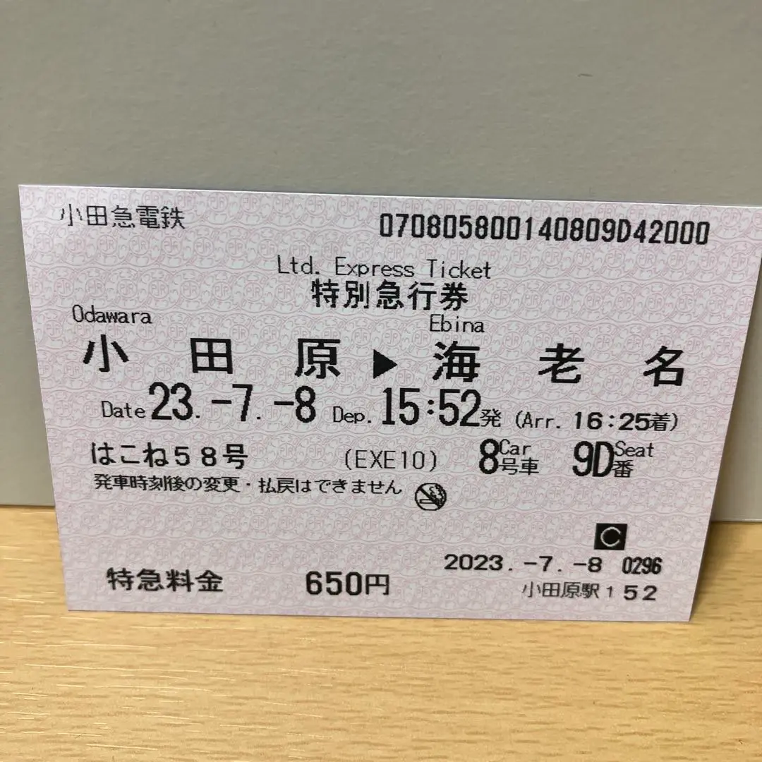 レア 平成初期 小田急臨時特急初詣1号 特急券 2025年最新】ロマンスカー 特急券の人気アイテム - メルカリ