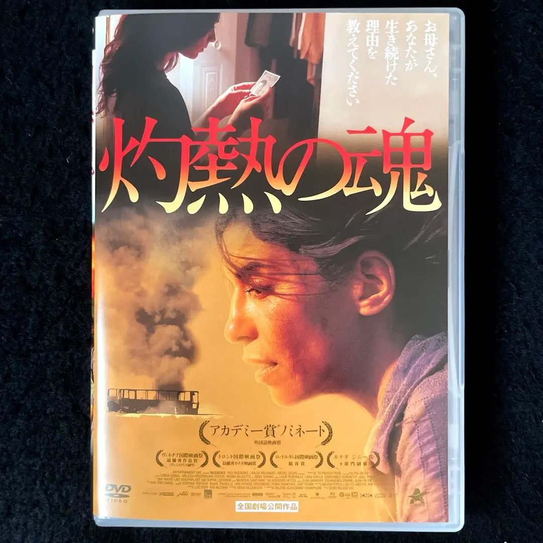 REVES ワジディムアワッド レバノン出身の劇作家 ペーパーバック　フランス語 REVES ワジディムアワッド レバノン出身の劇作家 ペーパーバック