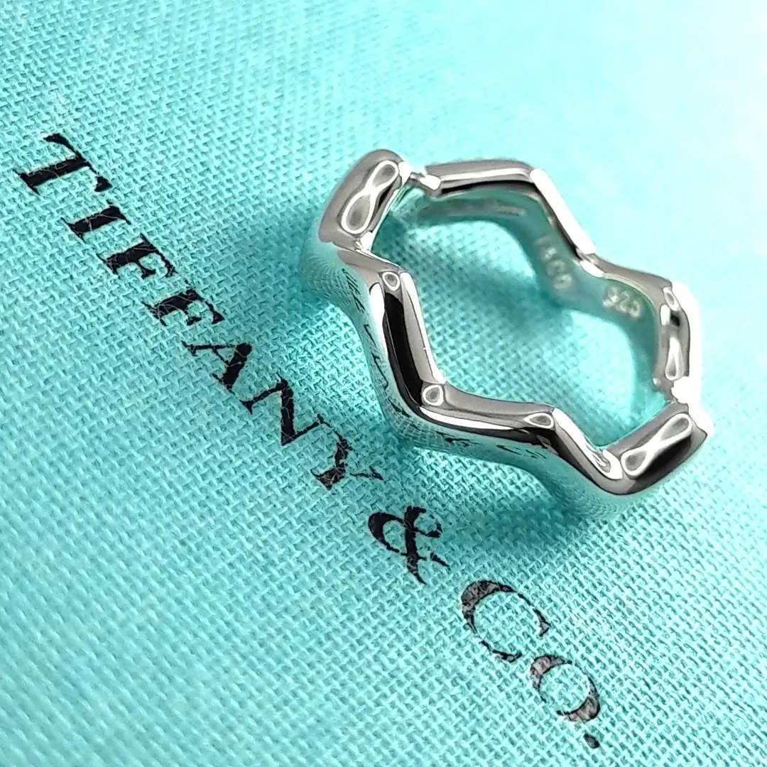 Tiffany & Co.  パロマ・ピカソ ジグザグピアス 箱・ポーチ付き Tiffany & Co. - Tiffany パロマピカソ ジグザグピアス希少美品