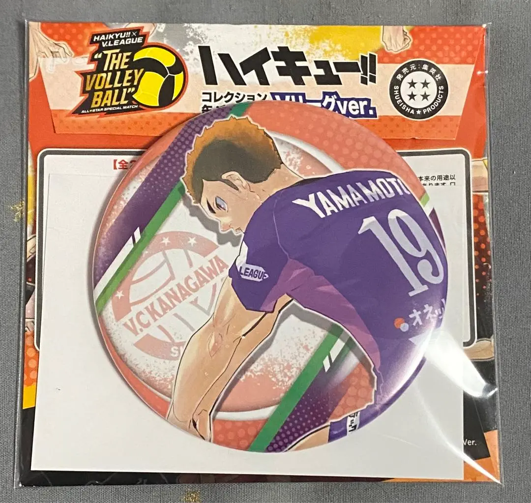 ハイキュー アクリルキーホルダー コレクション Vリーグ ハイキュー Vリーグ アクリルキーホルダーコレクション まとめ