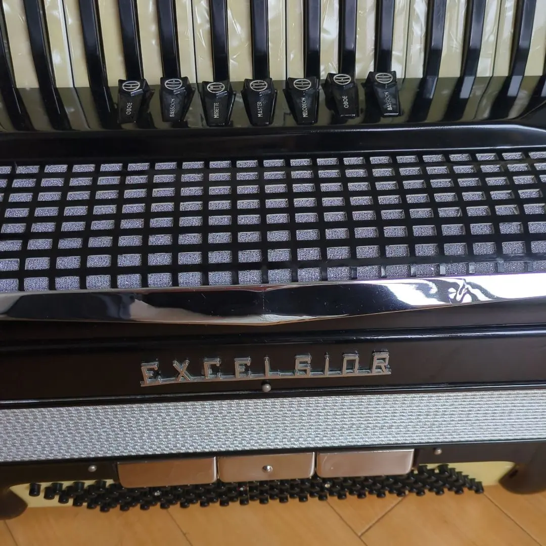 2025年最新】excelsior 308の人気アイテム - メルカリ