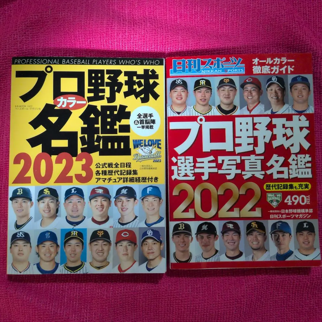 Thumbnail of Professional Baseball Player Directory 2022 & 2023