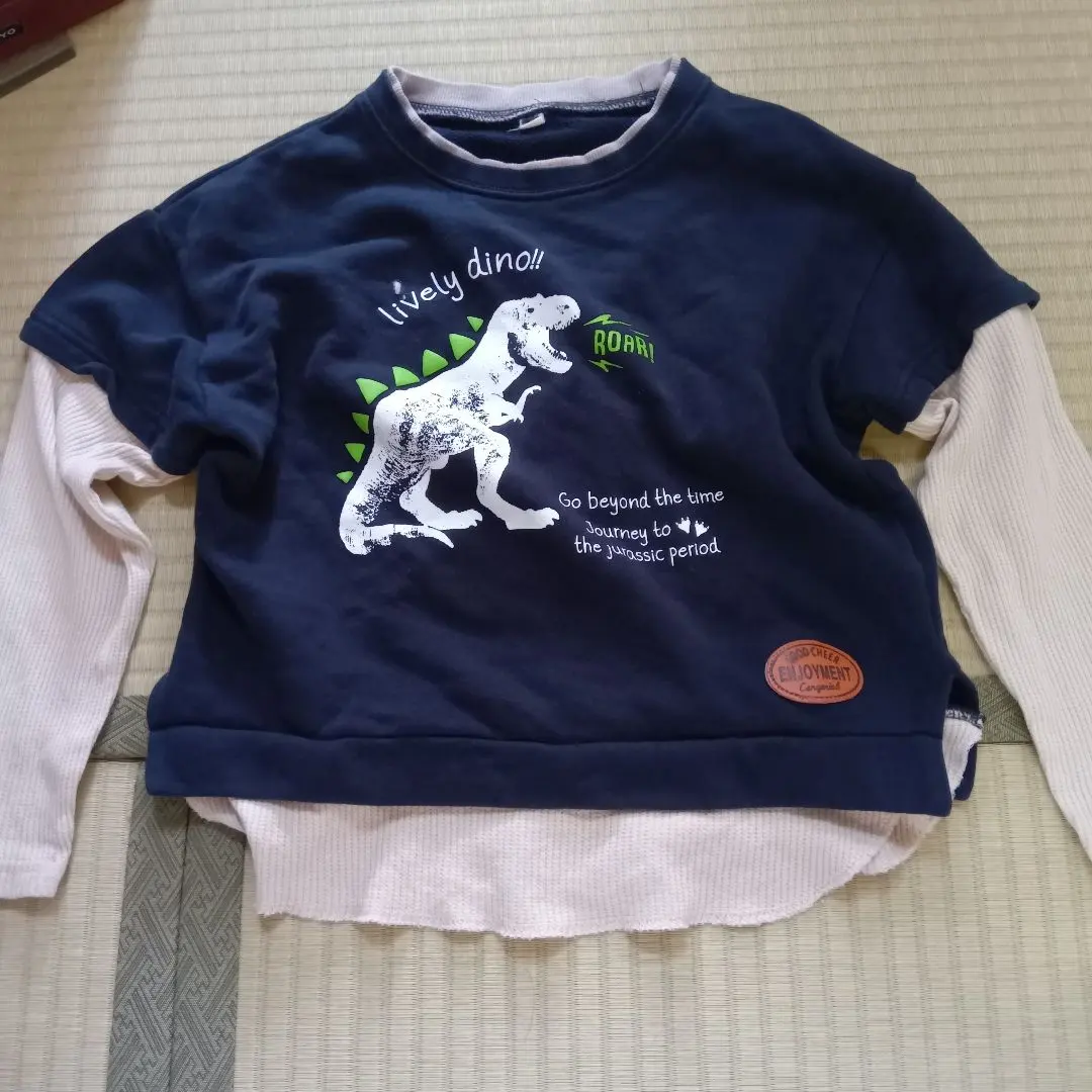 恐龍印花 運動衫 130cm 的縮圖