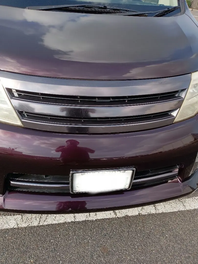 日産c25 セレナ グリル memset m79875222742_1.jpg?1746867721
