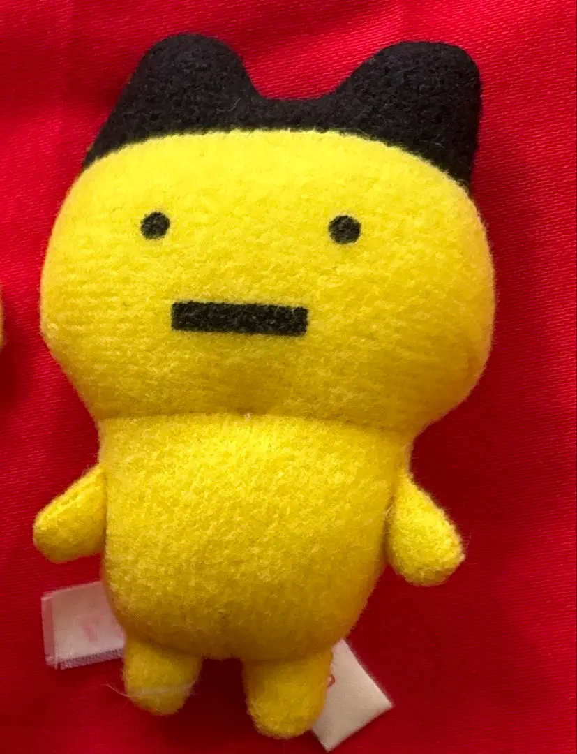 2025年最新】まめっち ぬいぐるみ 初代の人気アイテム - メルカリ