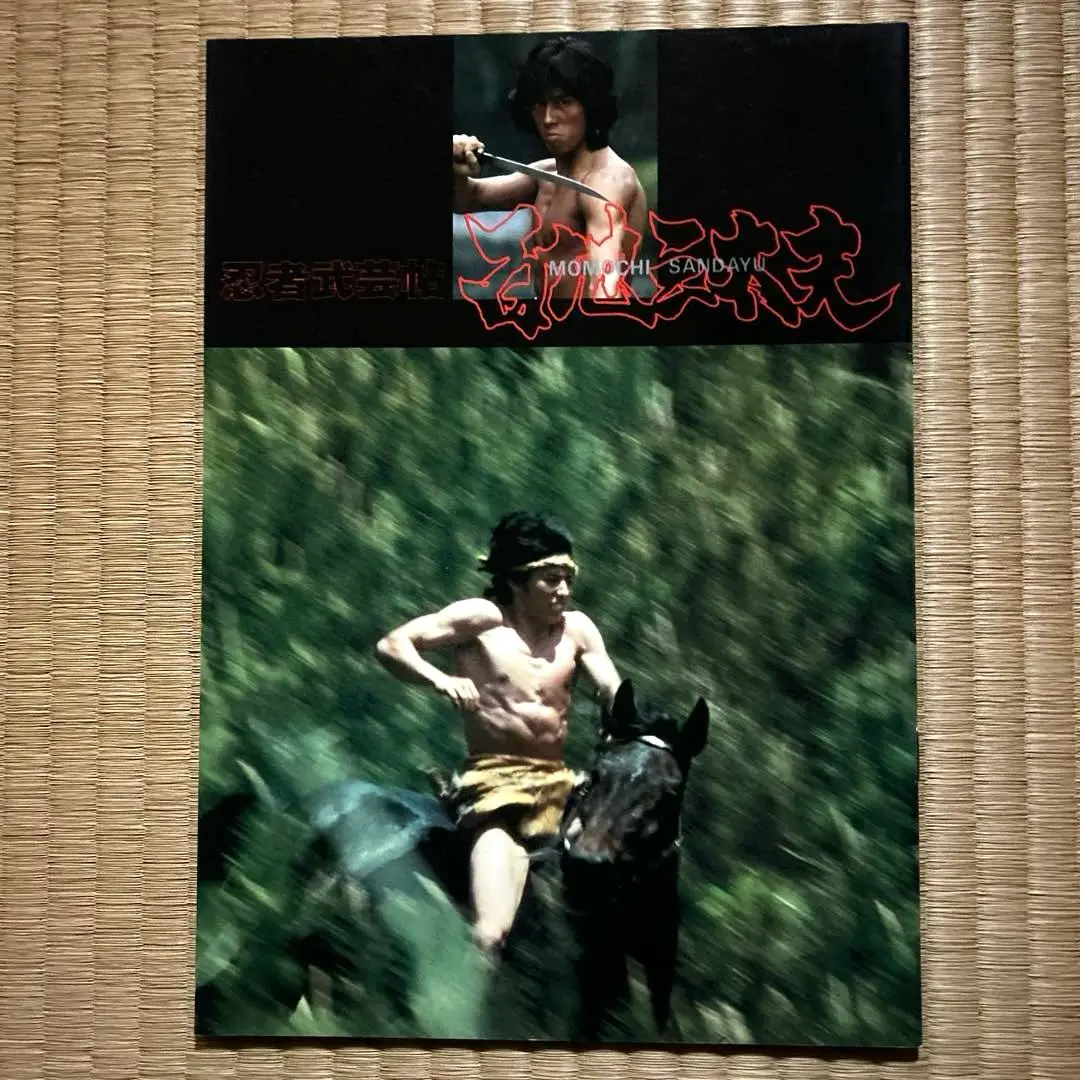 【送料込み】忍者武芸帖 百地三太夫('80東映) 忍者武芸帖 百地三太夫 – 映画コレクション・しねとろ倶楽部