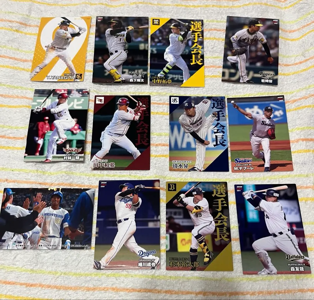 Thumbnail of Professional Baseball Player Card Set
