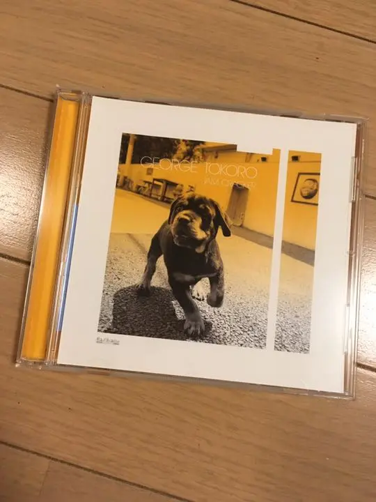 世田谷ベース正規品　バケットハット Jam Cracker Record Amazon.co.jp: 限定品 世田谷ベース JAM CRACKER RECORD ニット