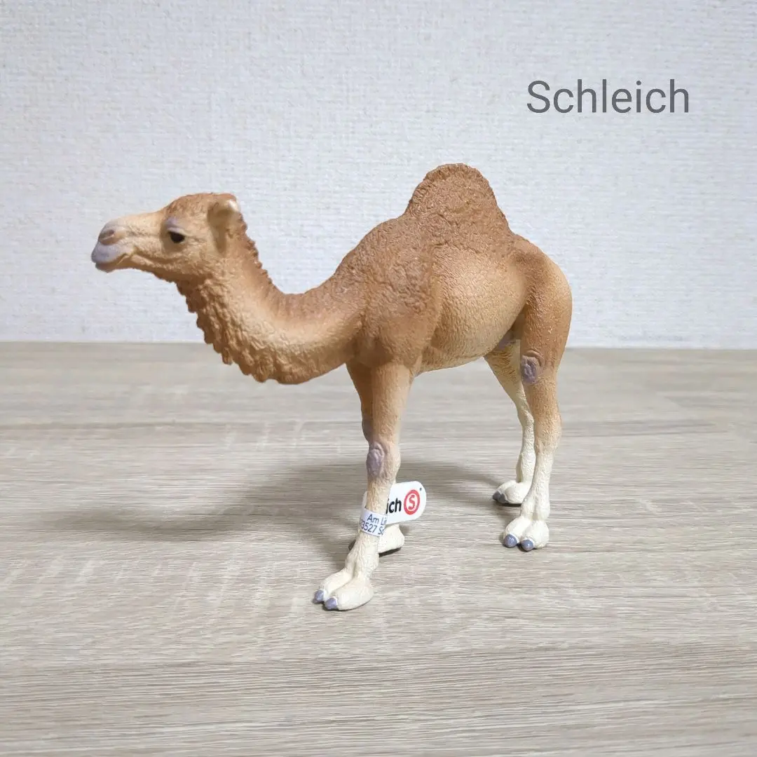 シュライヒ専門店】シュライヒ ヒトコブラクダ 14832 動物