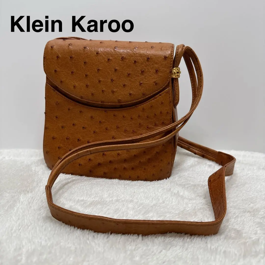 新品　タグ付き　Klein karoo　ショルダーバッグ　オーストリッチ革 2025年最新】klein karoo ショルダーバッグの人気アイテム