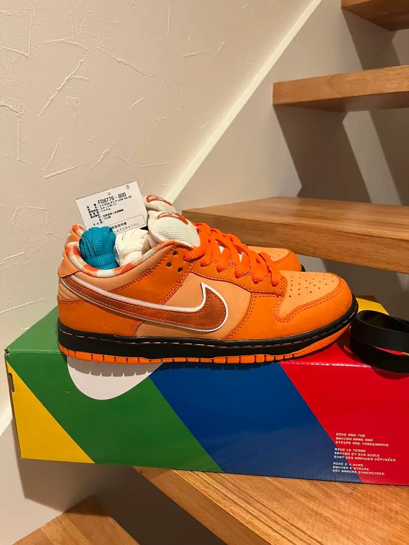 2025年最新】concepts × nike sb dunk low sp 