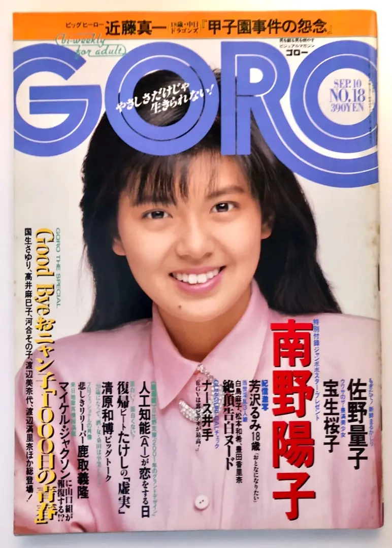 未開封 南野陽子 ナンノフィギュア グラビア 水着 1000体限定 輸送箱付 ファッション特集 Amazon.co.jp: 南野陽子 ナンノフィギュア