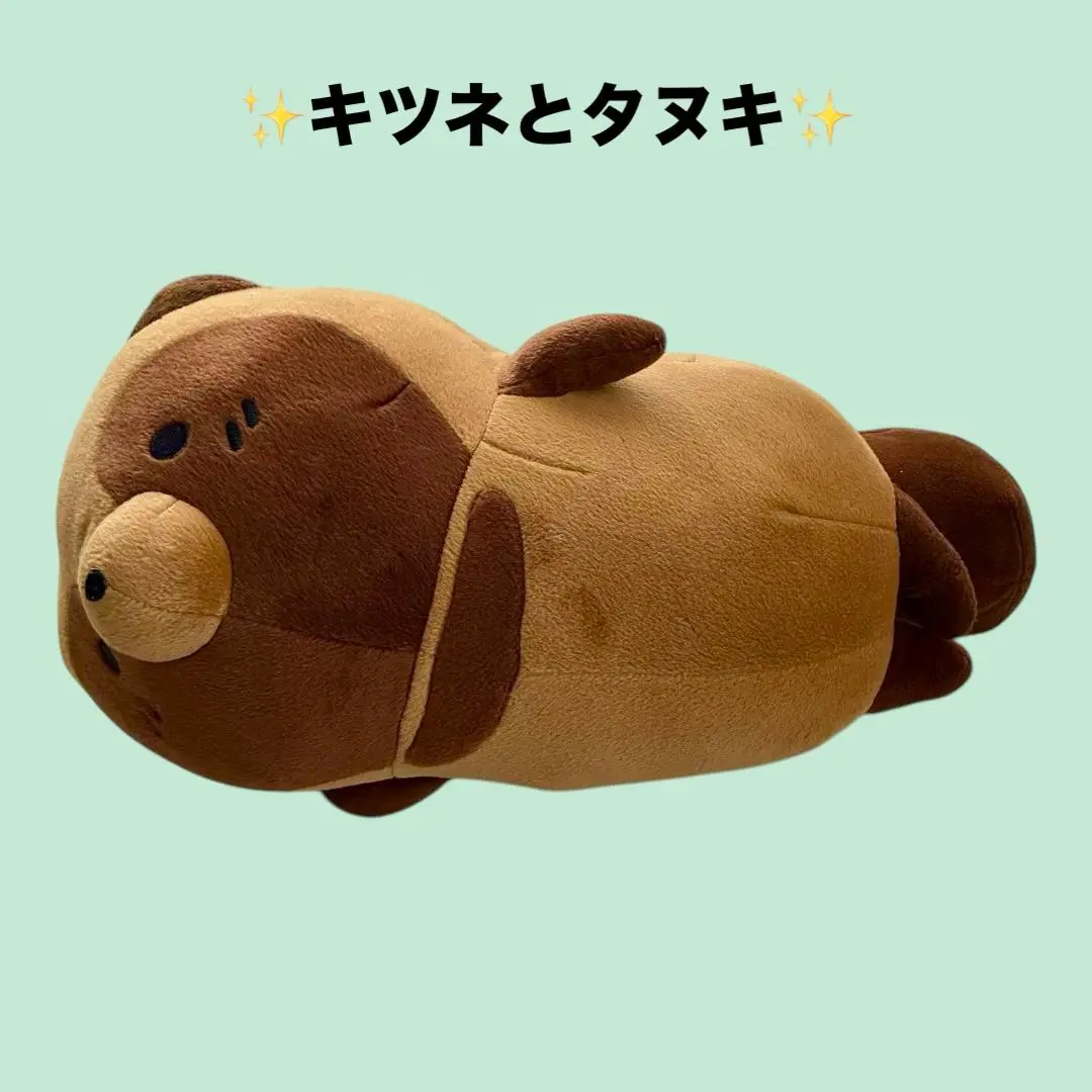 たぬ タヌキとキツネ もちっと 寝そべり もちっとぬいぐるみ 寝そべり(全2種) — 「タヌキとキツネ」公式