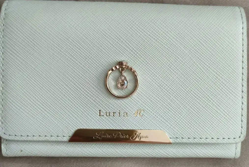 Luria 4C グレー キーケース Luria 4°C キーケース - メルカリ