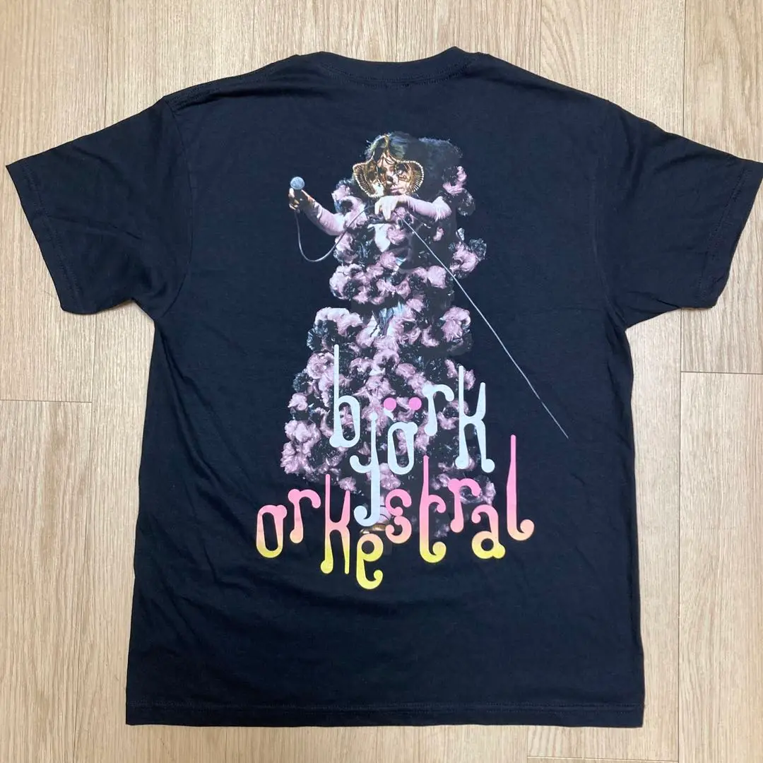 2025年最新】bjork orchestralの人気アイテム - メルカリ