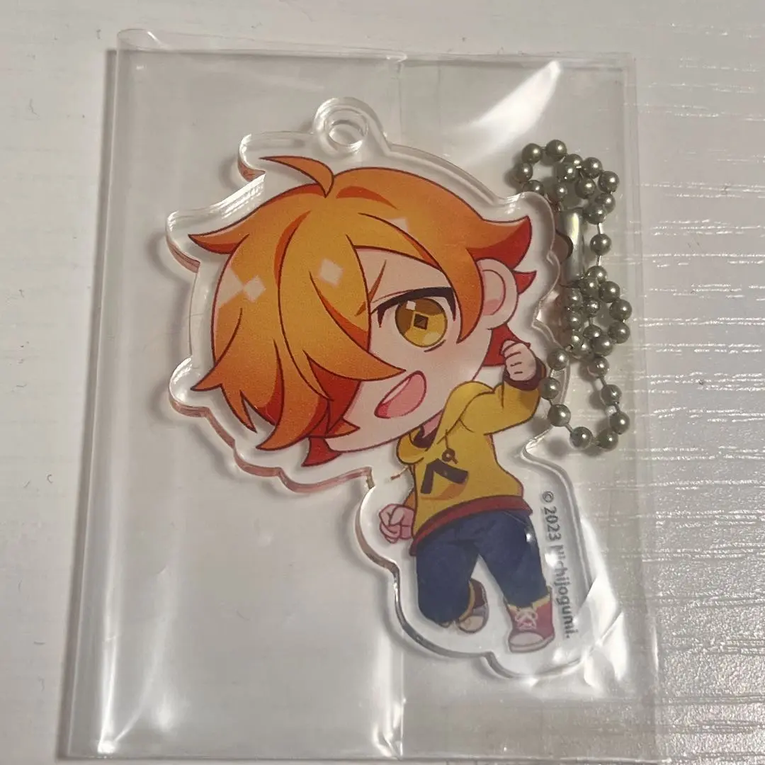日常組 ぺいんと メガアクリルスタンド 原宿 アクスタ 日常組 メガアクリルスタンド ぺいんと 原宿 33-0402-24R2