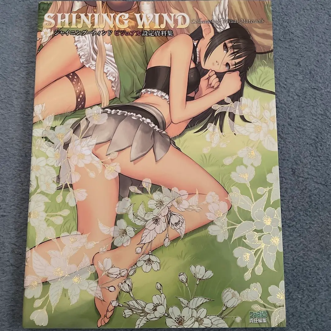 Tony イラスト画集 Cielクロニクル シャイニング ウィンド設定資料集ほか 2025年最新】シャイニング・ウィンド ビジュアル設定資料集の