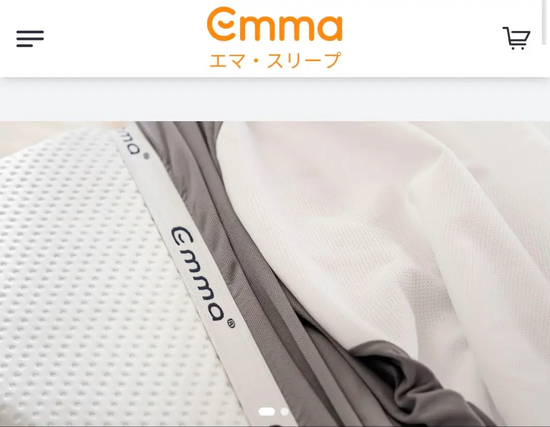 2025年最新】エマプロテクターの人気アイテム - メルカリ