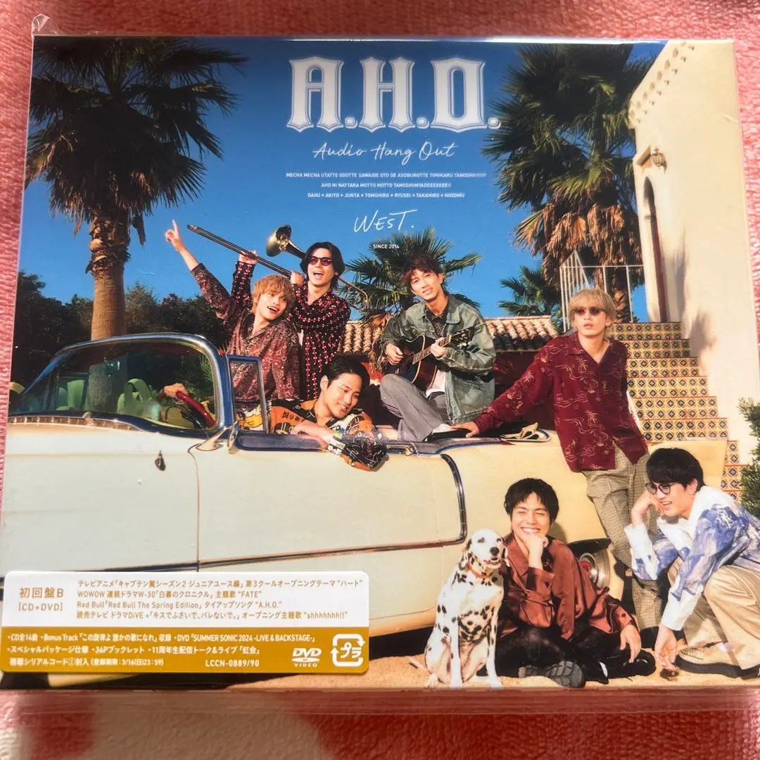2025年最新】aho 初回bの人気アイテム - メルカリ