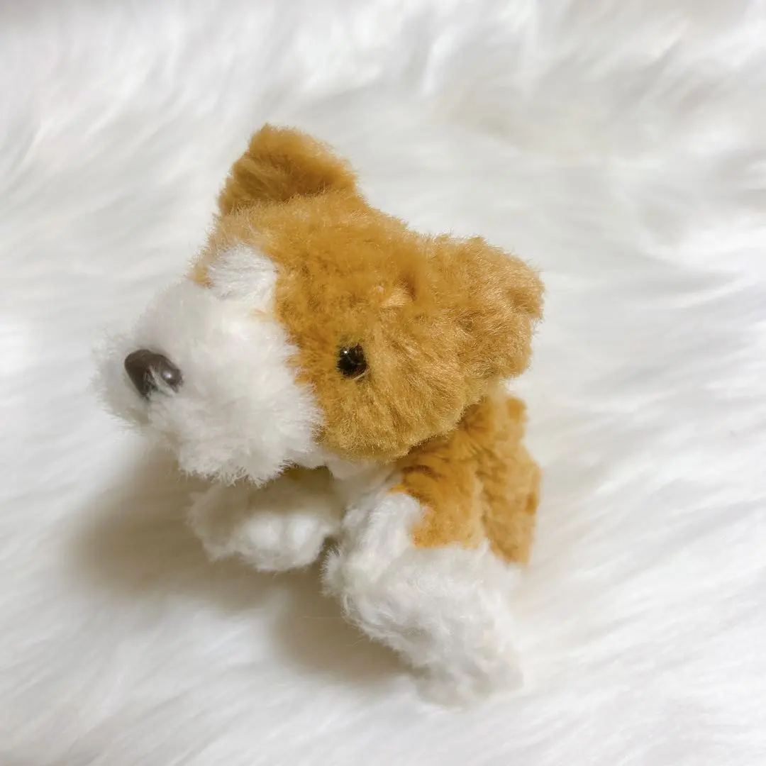 モンスイユ 犬 ぬいぐるみ モン・スイユ モンスイユ ぬいぐるみ 犬 いぬ イヌ 犬の