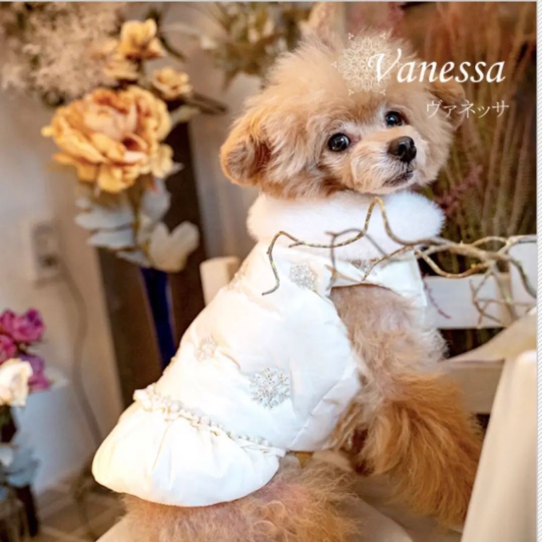 グラマーイズム ダウンドレス 3S ピンク 小型犬 パピー ダウン コート 犬服 2025年最新】グラマーイズム ダウンの人気アイテム - メルカリ