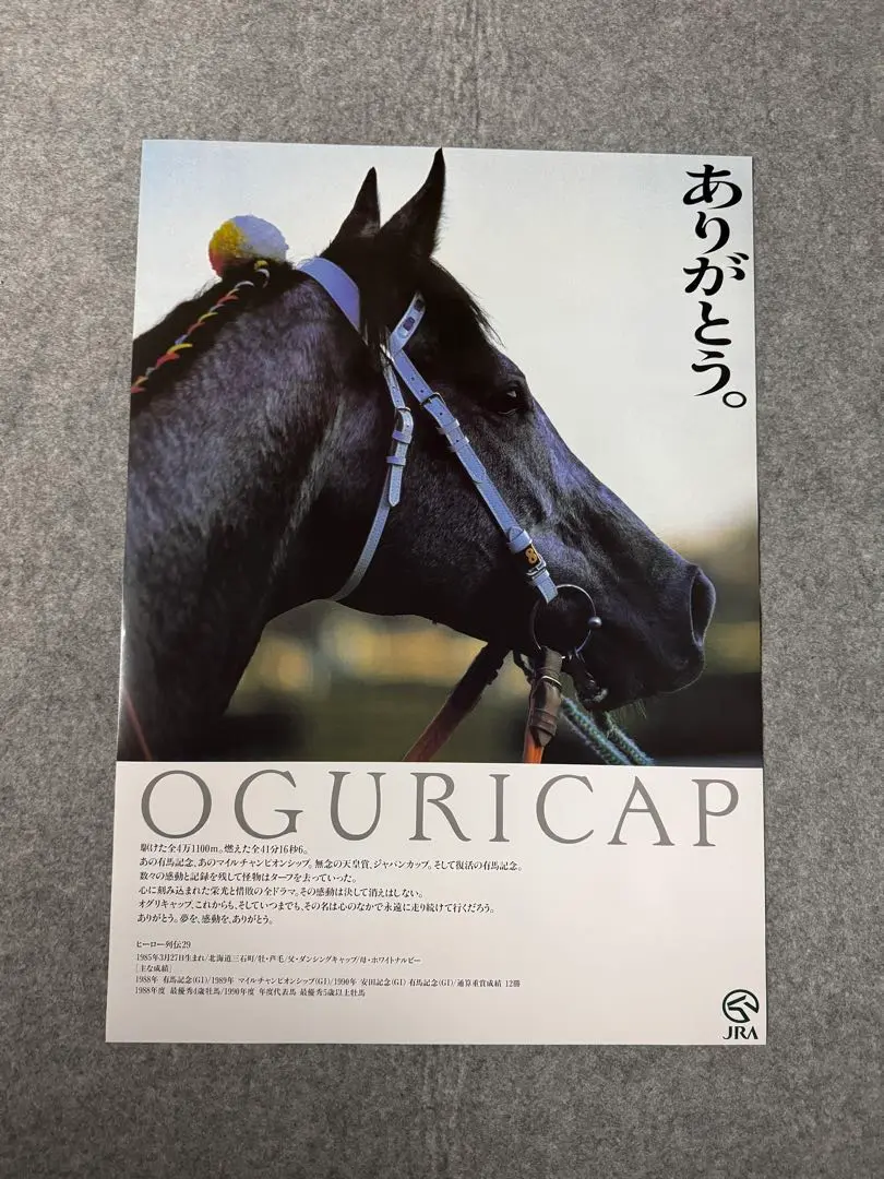 シーザリオ ヒーロー列伝 ポスター B3 No.61 アメリカンオークス 非売品 新品】ヒーロー列伝NO.61 シーザリオ B3 ポスター 競馬 JRA