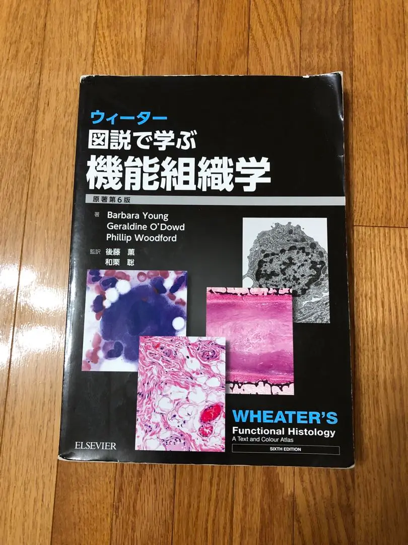 ウィーター 図説で学ぶ機能組織学 原著第6版 [単行本（ソフトカバー）] Geraldine O&#39;Dowd、 Phillip Woodford、 Barbara Young、 後藤 薫; 和栗 聡 ウィーター 図説で学ぶ機能組織学 原著第6版 | Geraldine O'Dowd