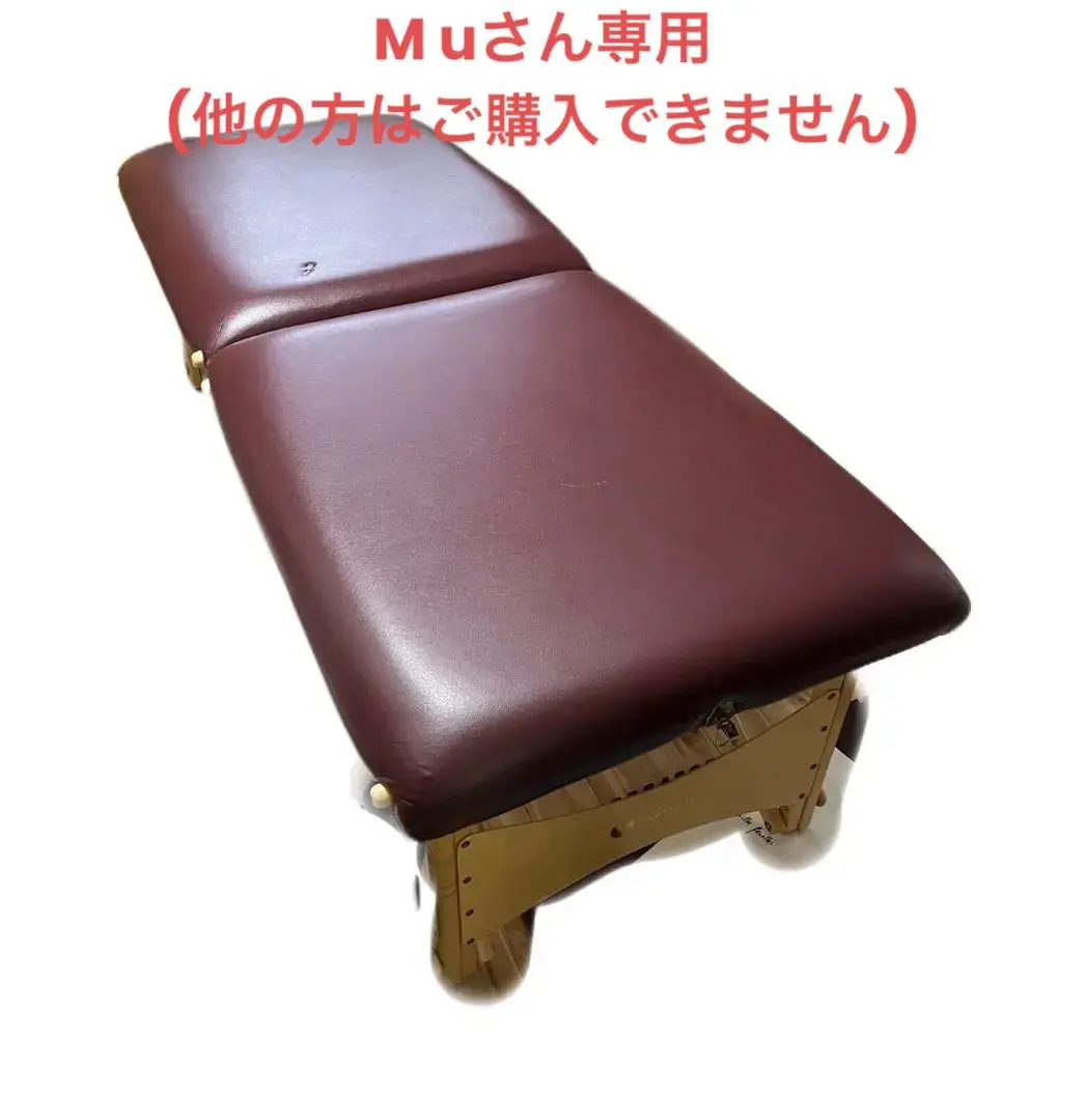 【値引き】インナーストレングス　マッサージベッド　レイキ　専用ケース付き インナーストレングスエレメントレイキパッケージ Inner
